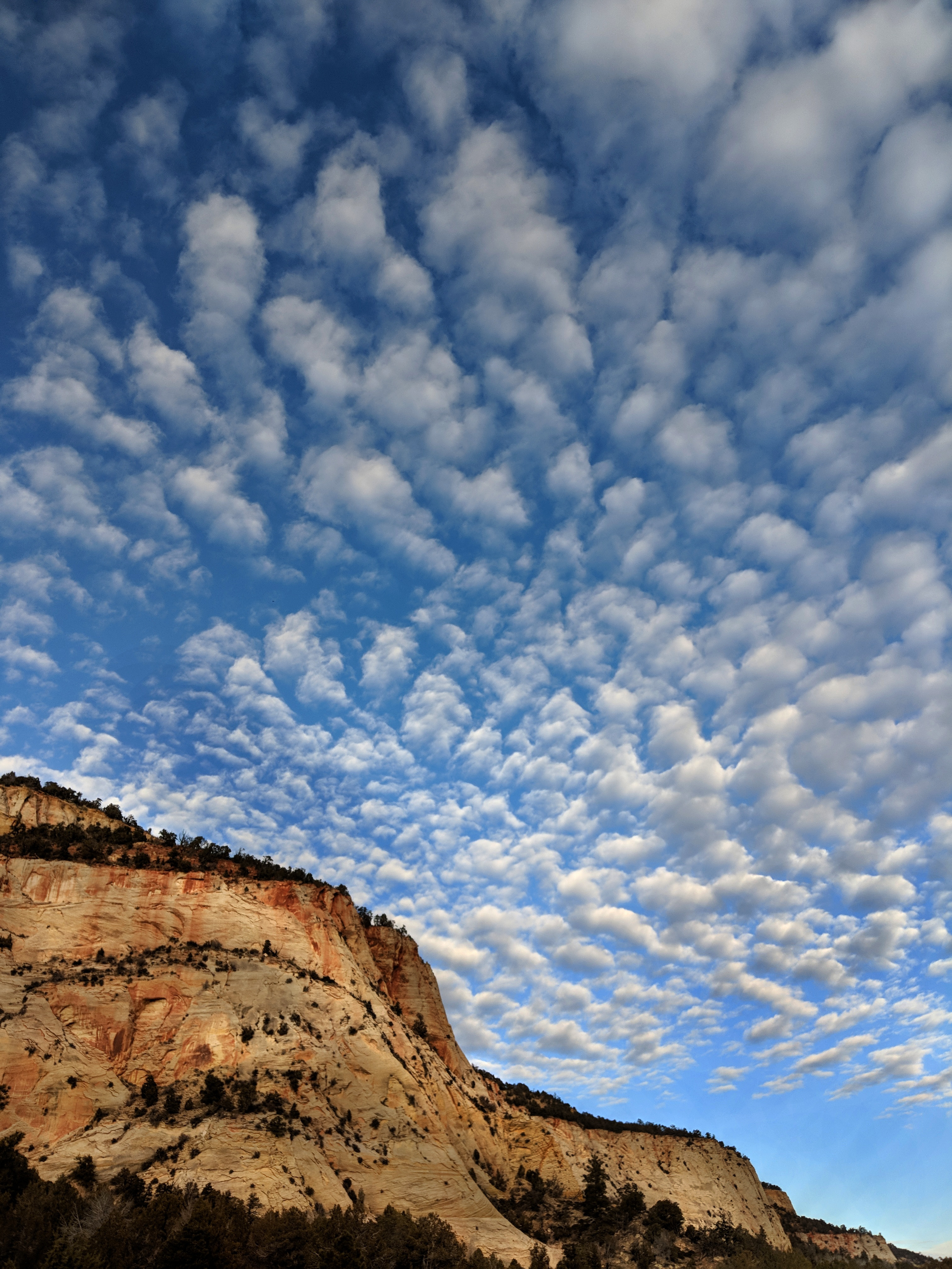 Funky Skies At Zion Today