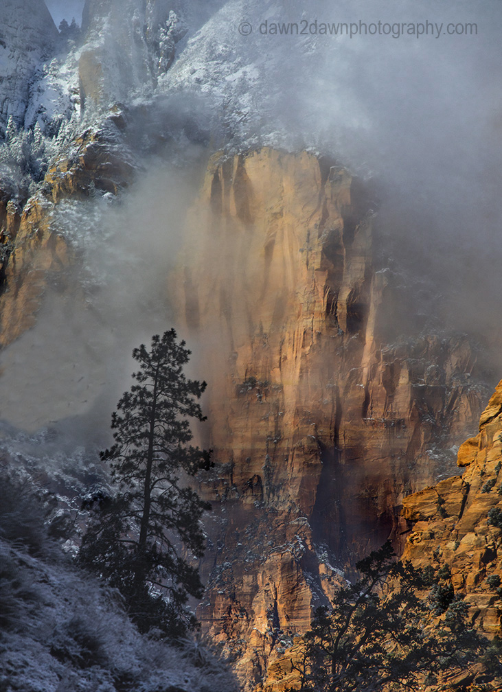 Snowy Foggy Zion