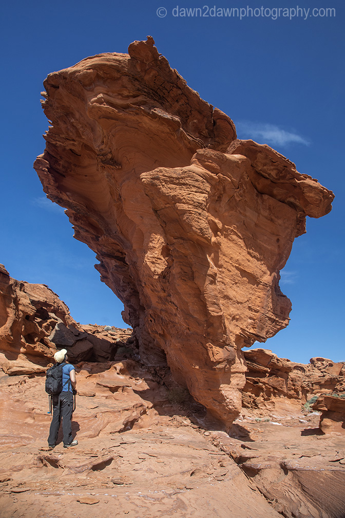 Gold Butte National Monument