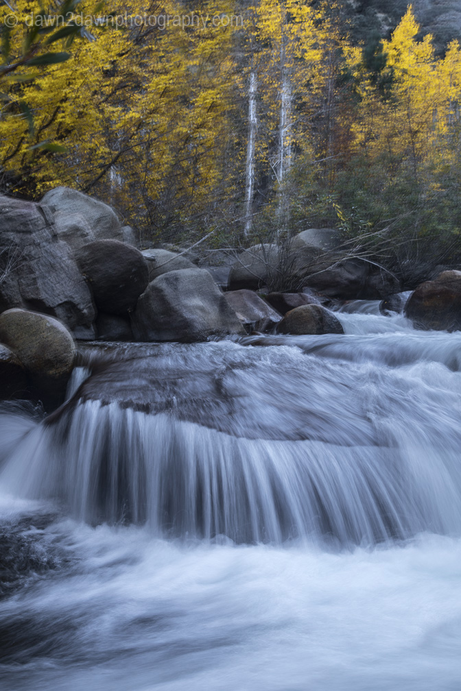 Fall Colors And Water