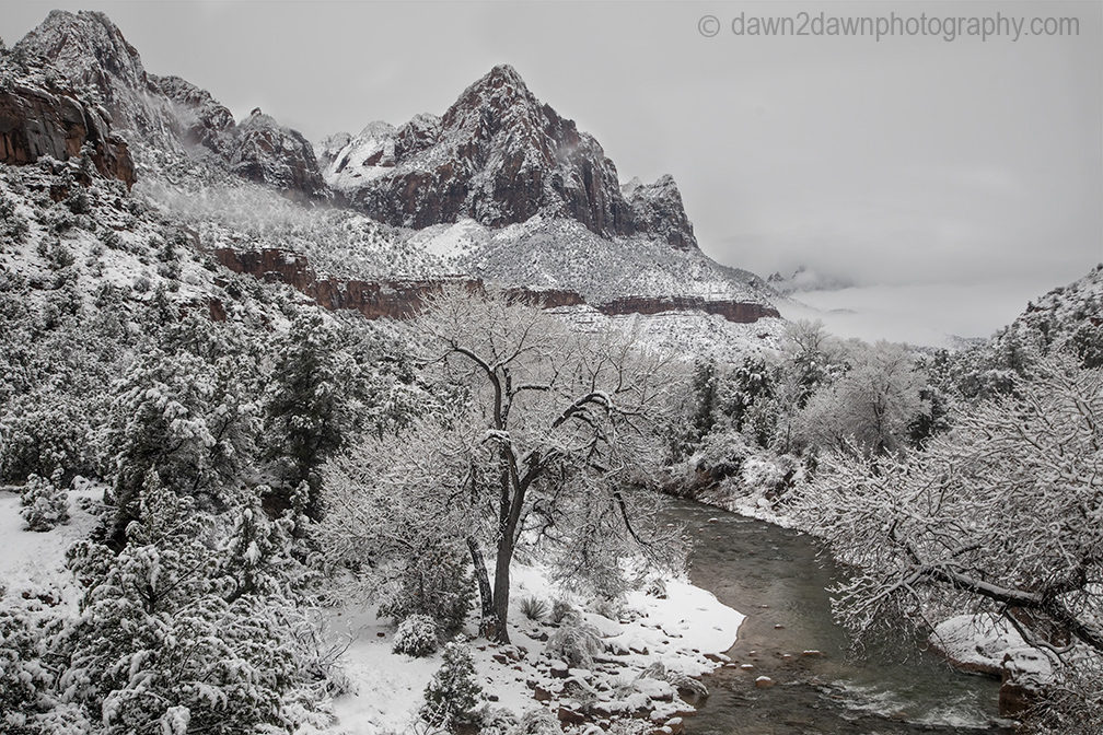 What’s Snow At Zion National Park