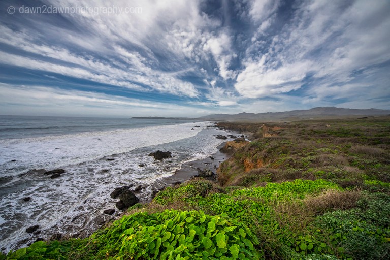 Sights and Sounds Of A California Beach