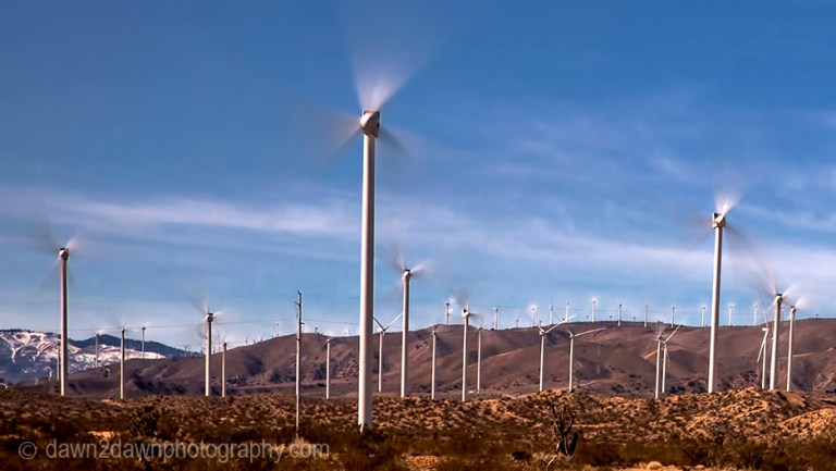 Don Quixote’s Modern Day Nemesis.