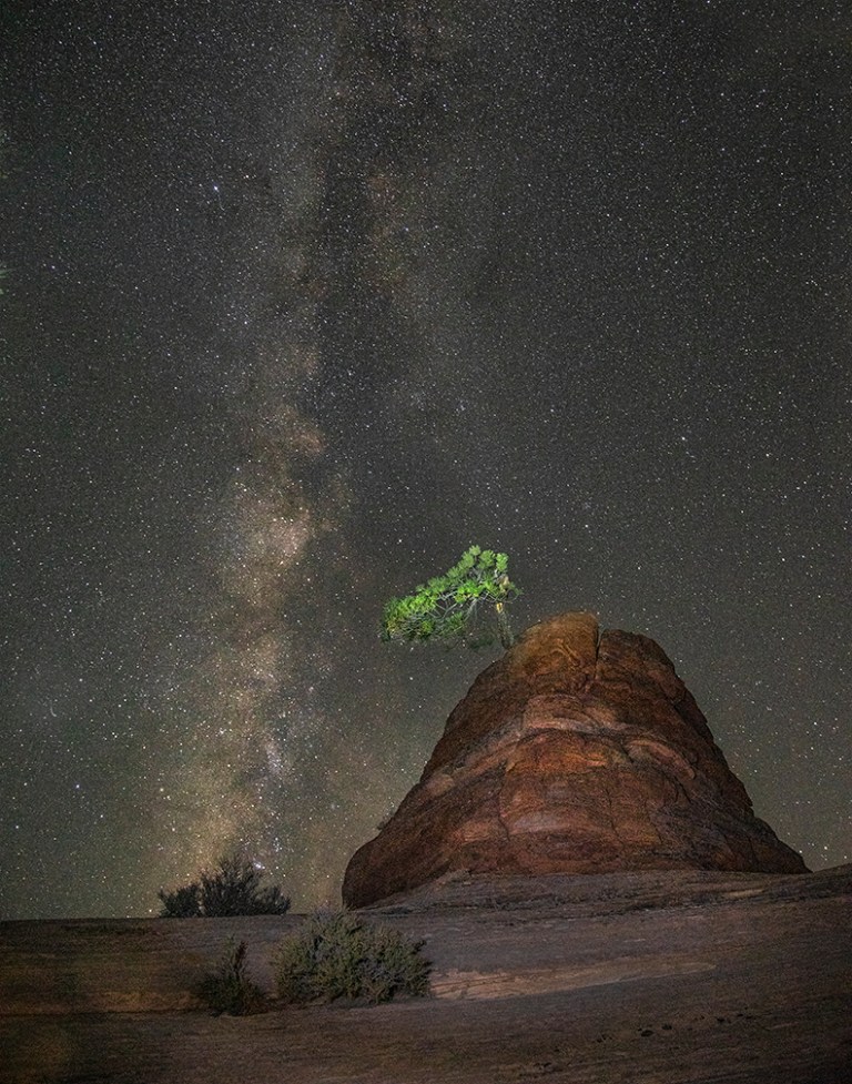 Zion’s Milky Way  And “Bonsai Tree”