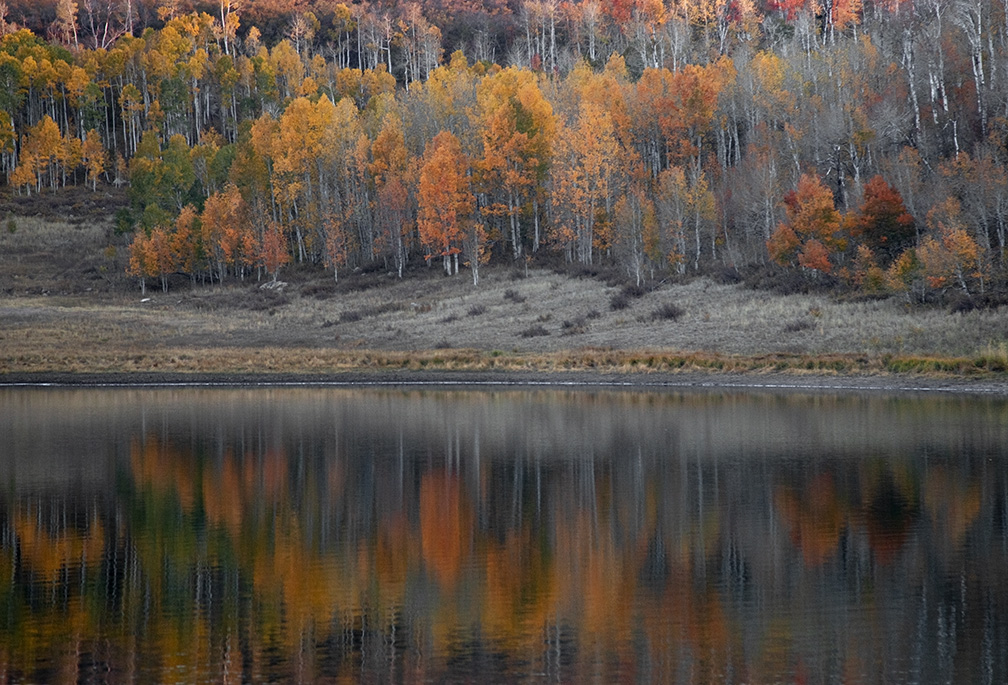 Fall Colors In Utah