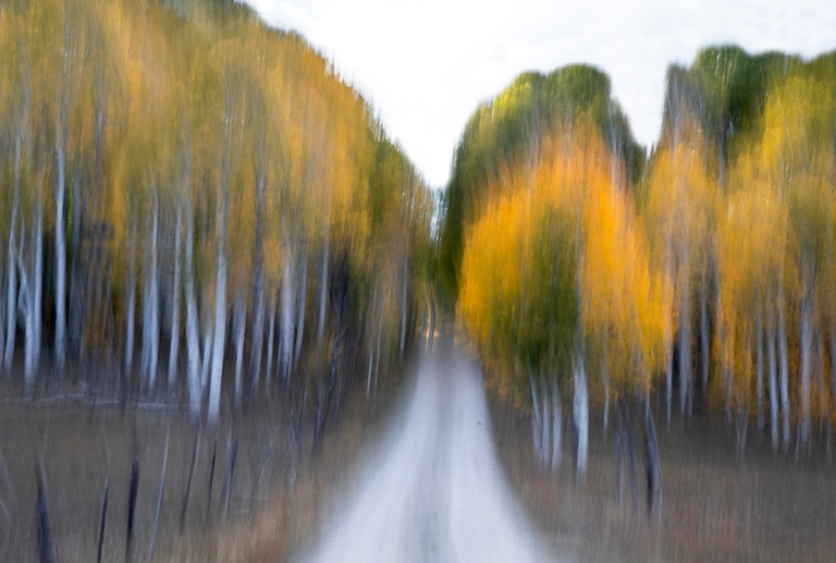 More Color From Zion Country