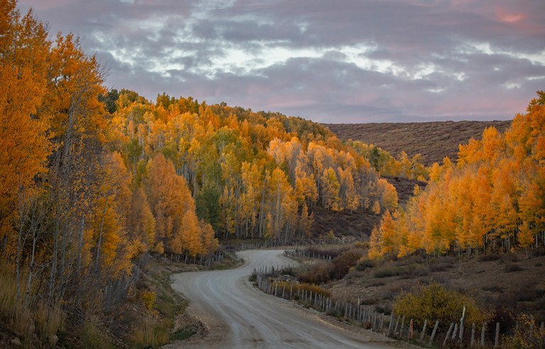 Autumn Now Appearing In Southern Utah
