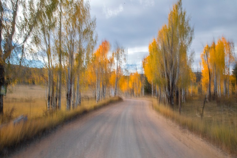 Painting With Your Camera