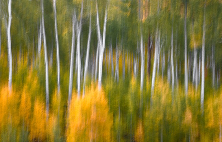 Favorite Images From 2021