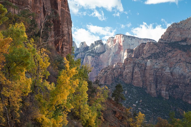 What Is Green and Yellow and Seen All Over?