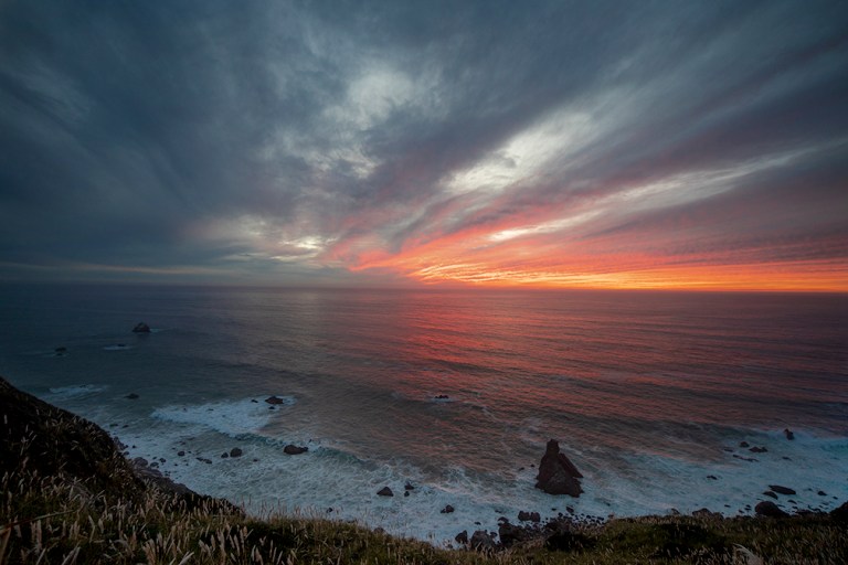 “Smell the sea and feel the sky, let your soul and spirit fly”