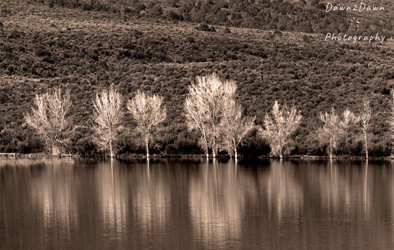 Some More Reflections