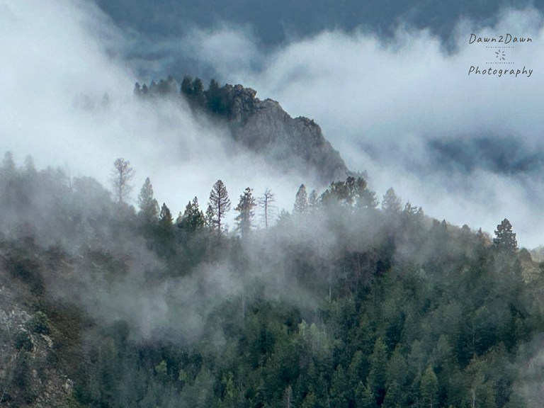 Recent Rains Produce Foggy Skies