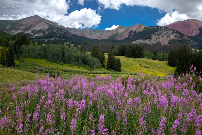 The Summer Scene At Crested Butte, Colorado