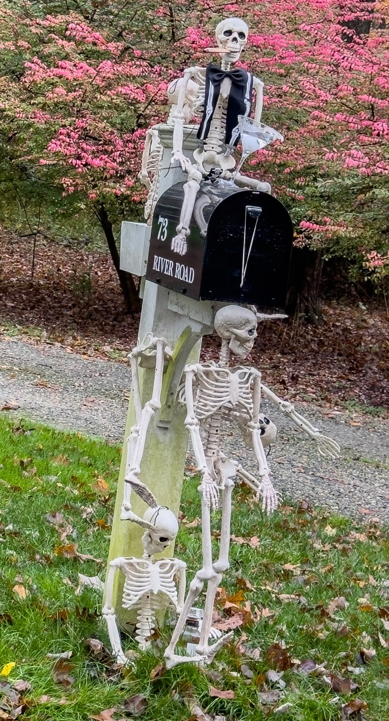 Halloween On Steroids