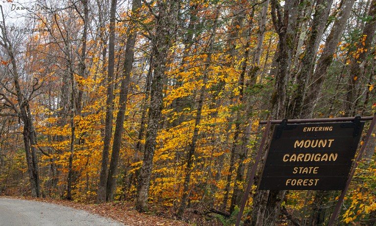 New Hampshire’s Cardigan State Forest
