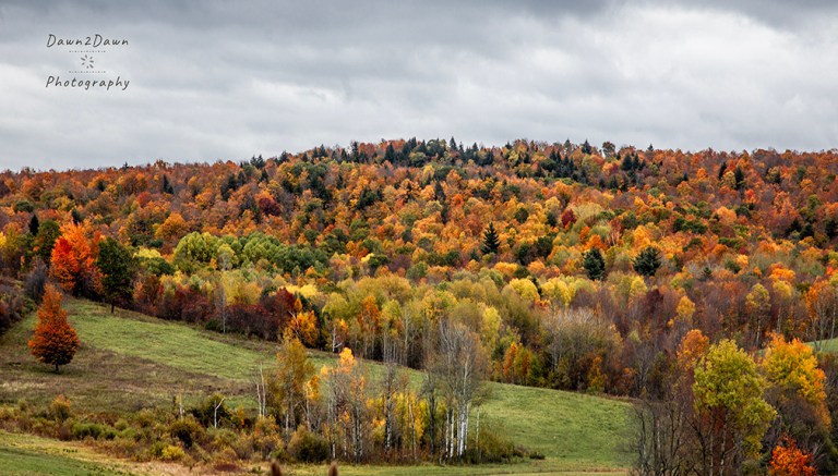 New York’s Fall Colors