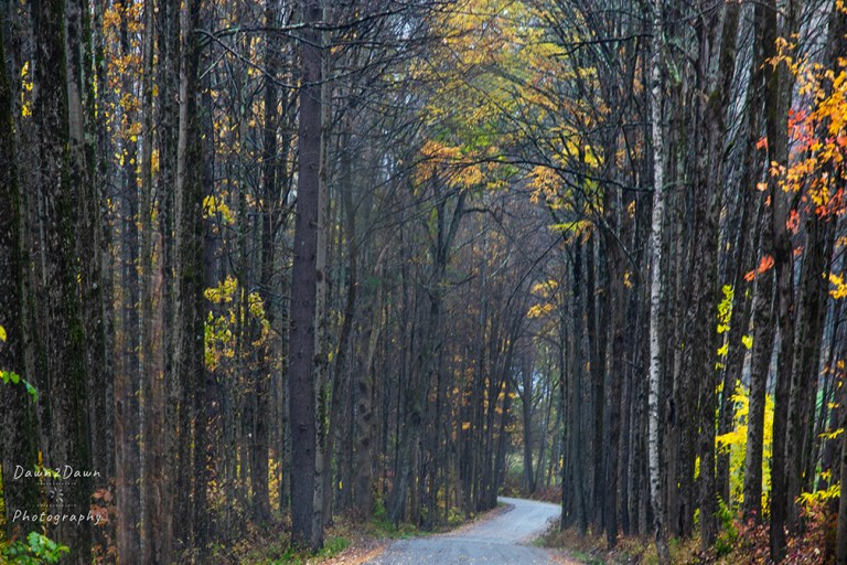 A Quick Trip Through Vermont