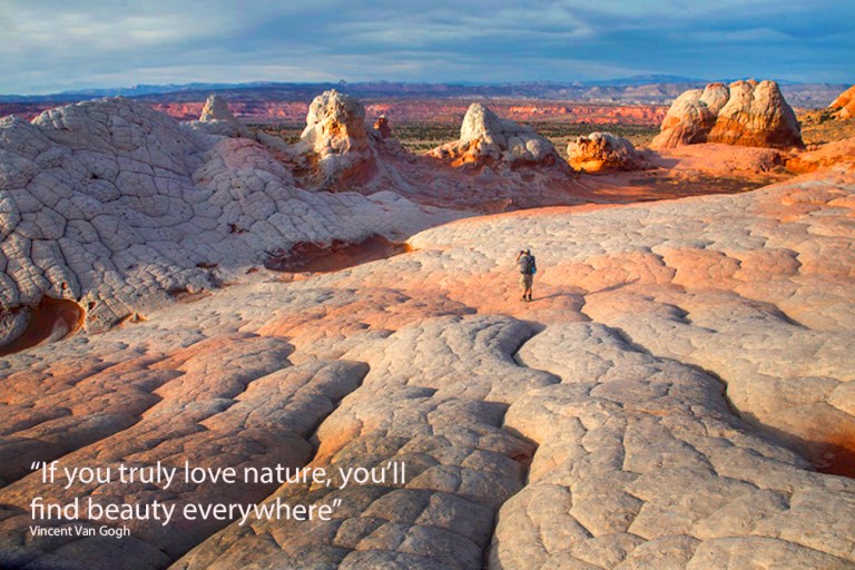 In The Field Workshops