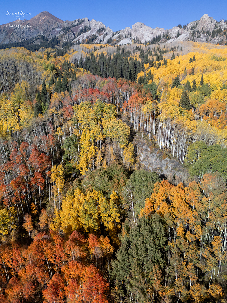 Colorado’s Colorful Kebler Pass