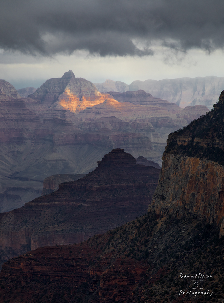 Return Engagement To The Grand Canyon