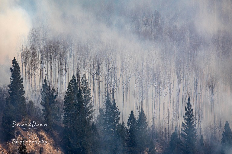 Don’t Panic, It’s A Prescribed Burn.