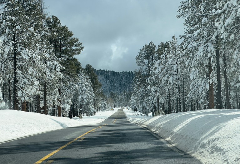What’s Snow In Arizona