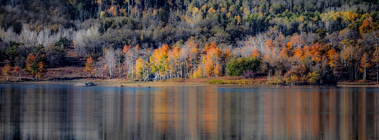 Utah Reflections- Also My 1000nth blog post!!