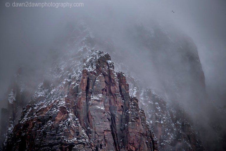 A Drive To And Through Zion National Park