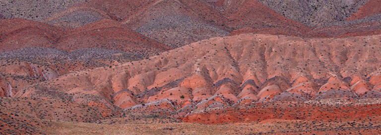 The Unusual Is The Usual Here