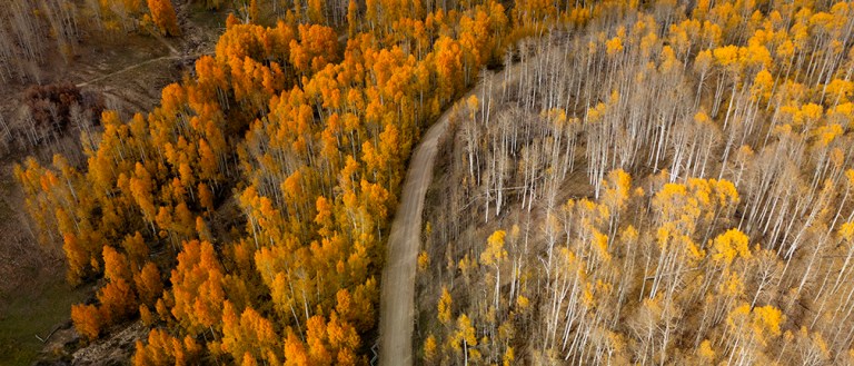 Best Images From 2025