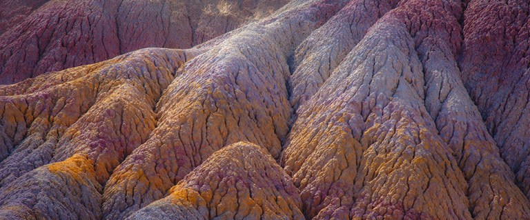 Nature Is Amazing