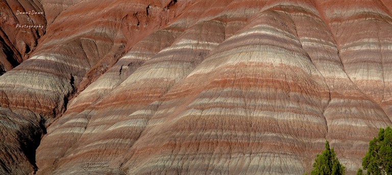 Some More Amazing Clay Beds